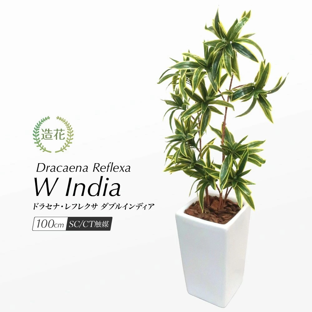 フェイクグリーン 幸福の木 ドラセナ レフレクサ Wインディア 100cm 鉢植 CT触媒