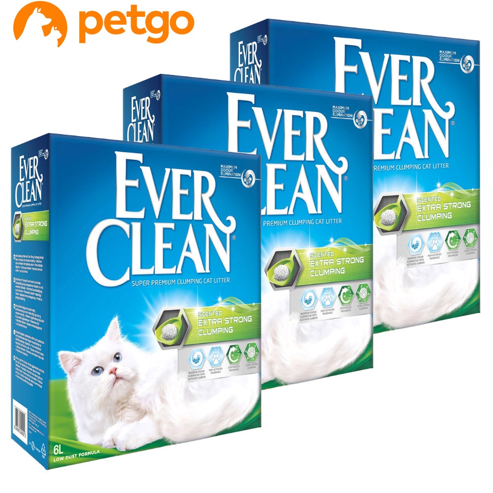 エバークリーン 芳香タイプ 6L×3個 (正規輸入品) 5,565円