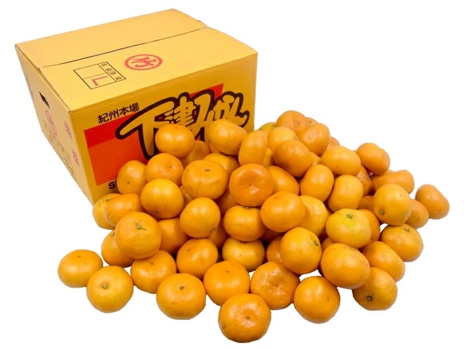 =和歌山みかん= 訳あり Lサイズ 約10kg 予約 11月末以降