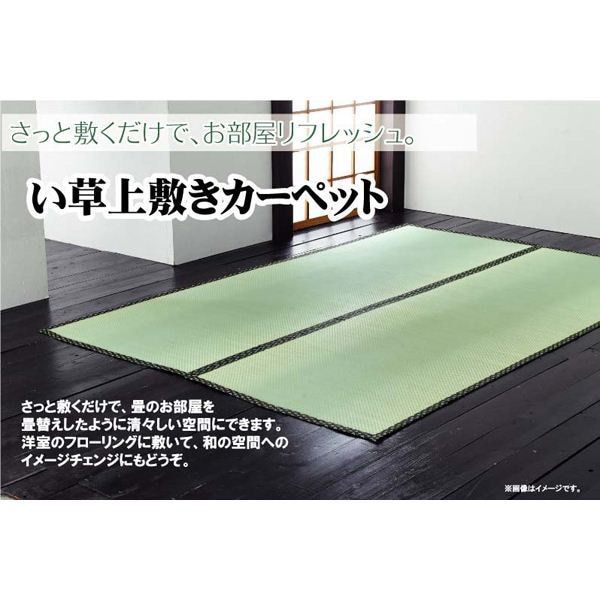 純国産/日本製 双目織 い草上敷 『草津』 本間2畳（約191x191cm）