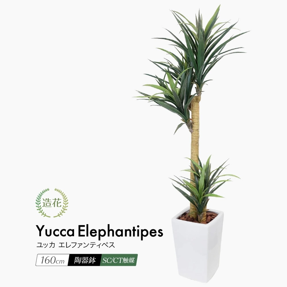 フェイクグリーン ユッカエレファンティペス 青年の木 160cm 鉢植 CT触媒