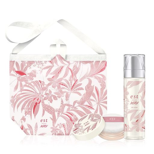 est(エスト) ザ ローション+ロングラスティング ルースパウダー ルーセントミニ 限定セット エコバック付き