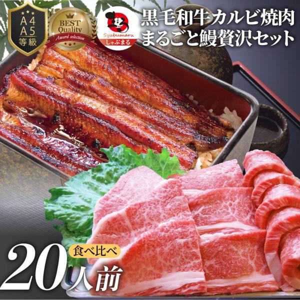 黒毛和牛 ＆ まるごと鰻 セット 20人前 焼肉のタレ 凍眠 テクニカン 肉 お中元 ギフト 食品 プレゼント うなぎ 黒毛和牛 カルビ 焼肉 A4 A5等級