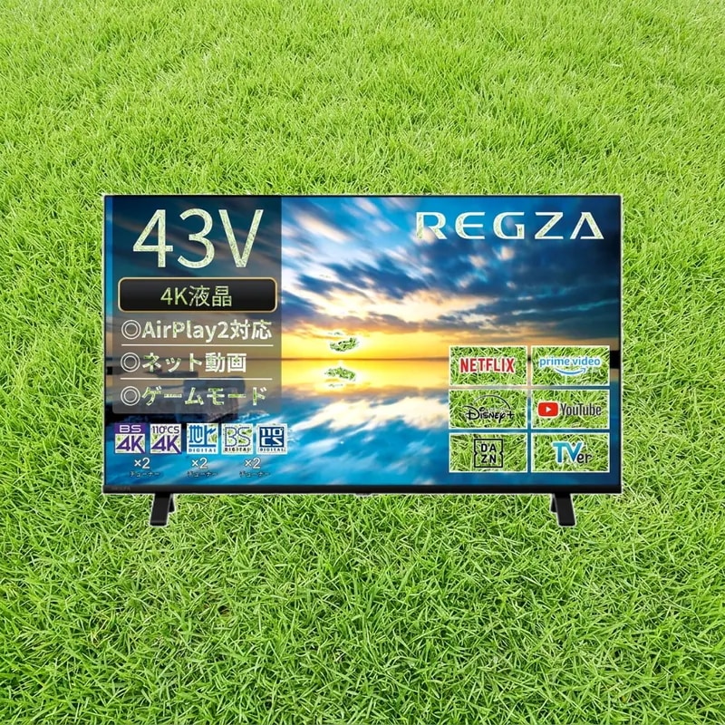REGZA 43インチ Airplay ネット動画対応 4K E350Mシリーズ 液晶 43E350M スマートテレビ 2023年モデル
