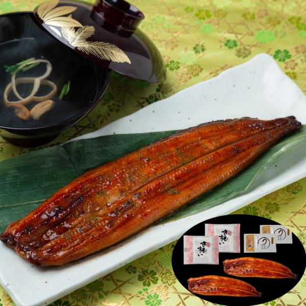 山道養鰻場 宮崎県産うなぎ 2尾 計240g 肝吸付き SISK