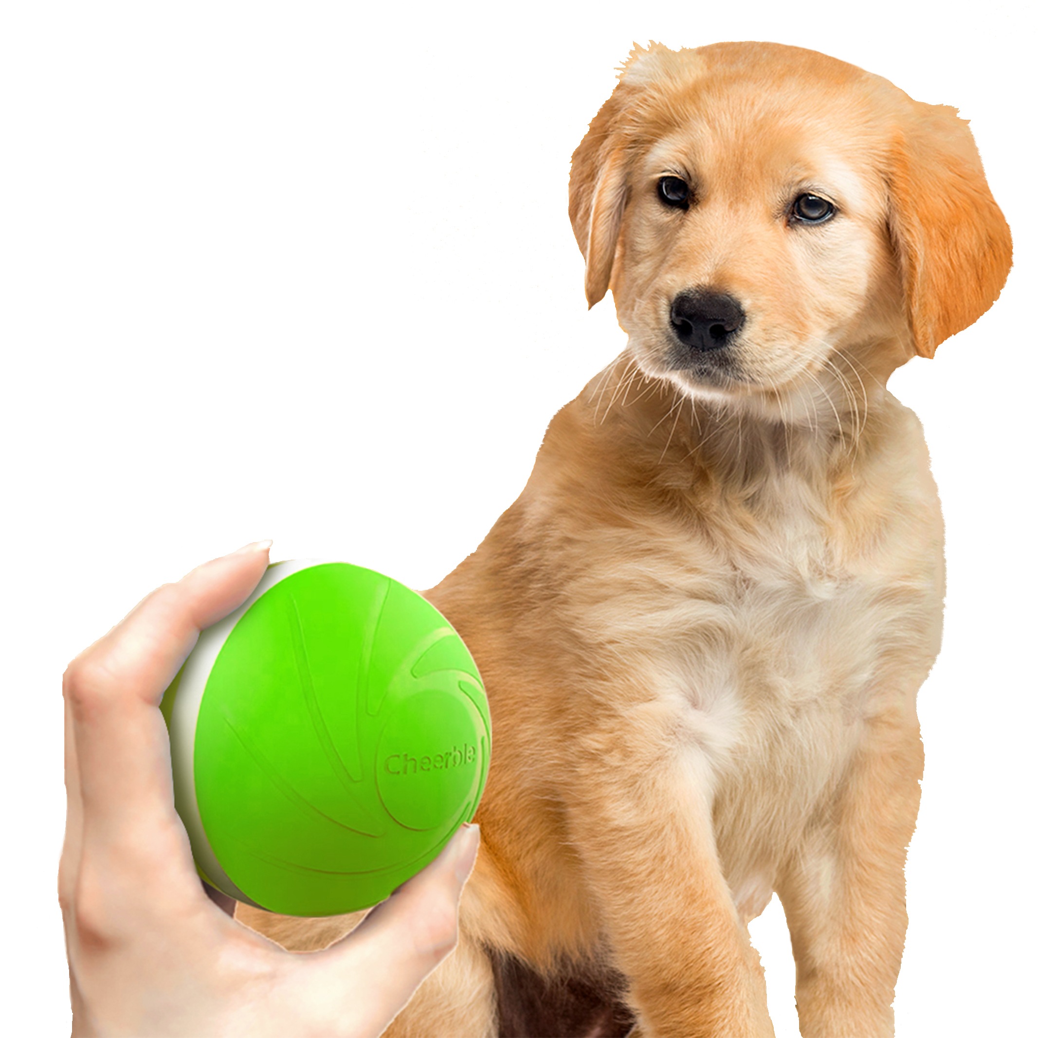 【グリーン】ウィキッドボール 　日本語説明書付き　ペット　留守番　おもちゃ