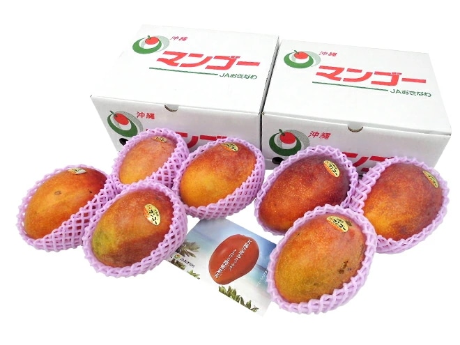 沖縄産 =完熟マンゴー= 訳あり 約1.5kg x2箱 6-10玉前後 産地箱 沖縄マンゴー 予約 7月下旬以降
