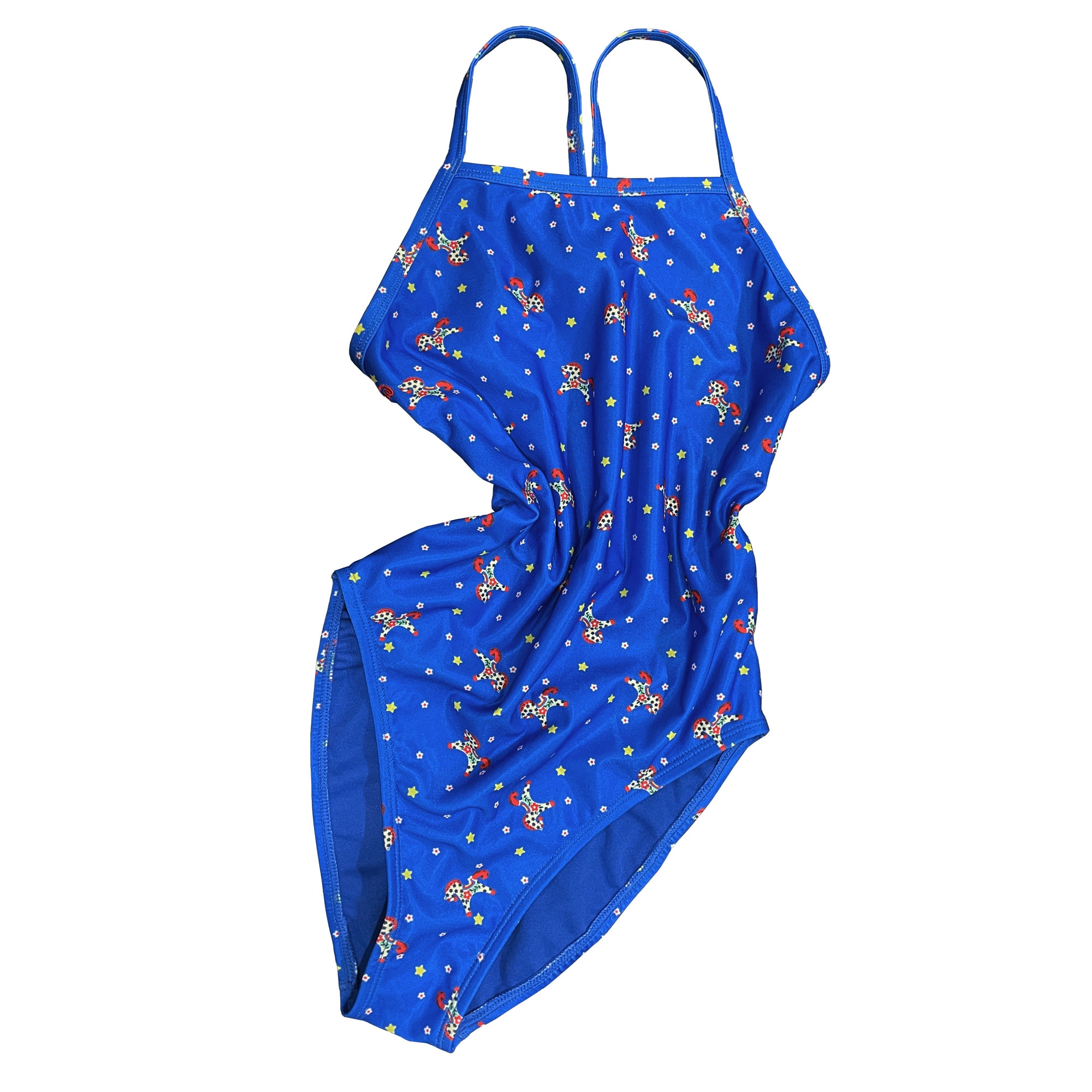 女子 室内講習 水着 シグネチャー Dream Pony - ポイントエディション