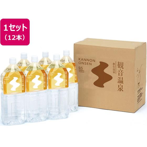 飲む温泉 観音温泉 2リットル×12 観音温泉
