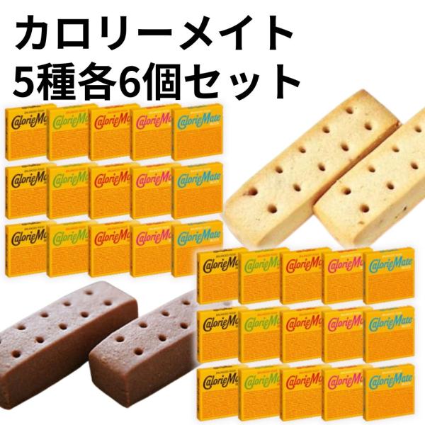 カロリーメイト５種各6個