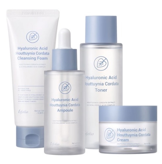 ドクダミ 基礎4点セット（フォーム+トナー+アンプル+クリーム）