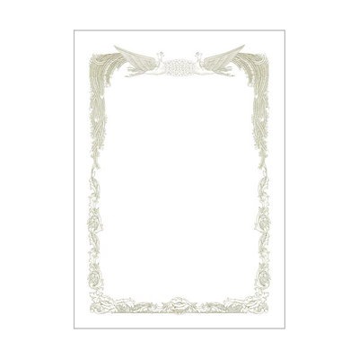 1 DVD パーフェクト・レボリューション 東映ビデオ リリー・フランキー