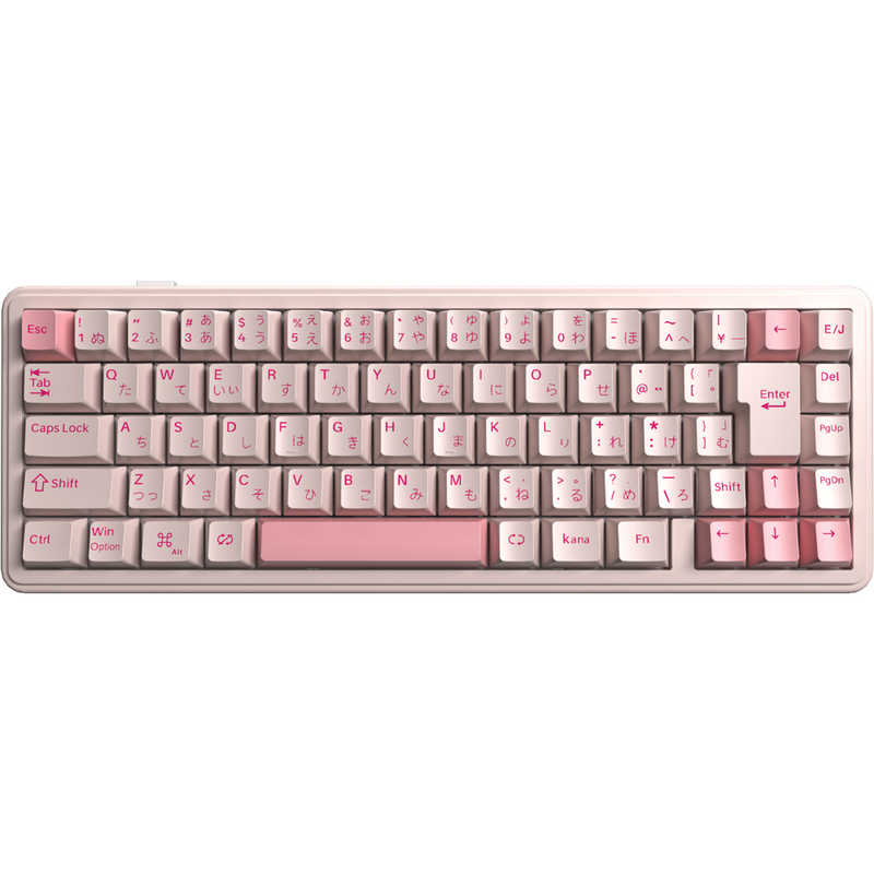 AULA　ゲーミングキーボード F65　F65J-SV-PK