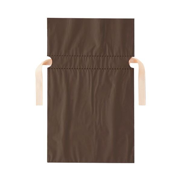 （まとめ）店研創意 ストアエキスプレス 梨地リボン付ギフトバッグ ブラウン 17cm 1パック（20枚） 10セット