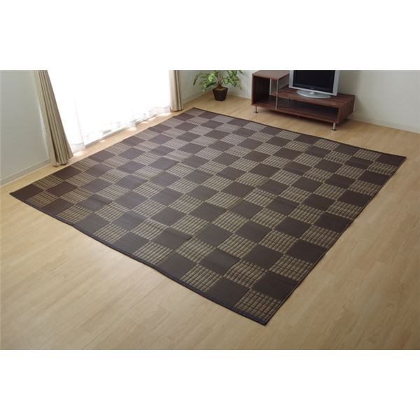 洗える PPカーペット/ラグマット (ブラウン 本間6畳 約286.5cm×382cm) 日本製 ポリプロピレン (リビング)