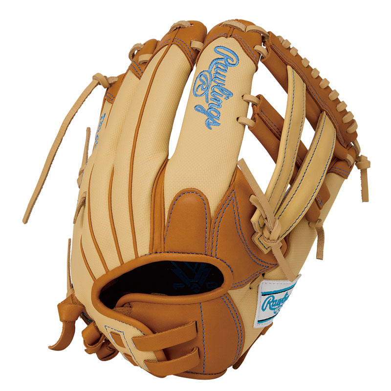 ソフト HOH DPCOLORS S65GF RT/CAM レディースソフト用グローブ 25AW GS5FHDS65GF
