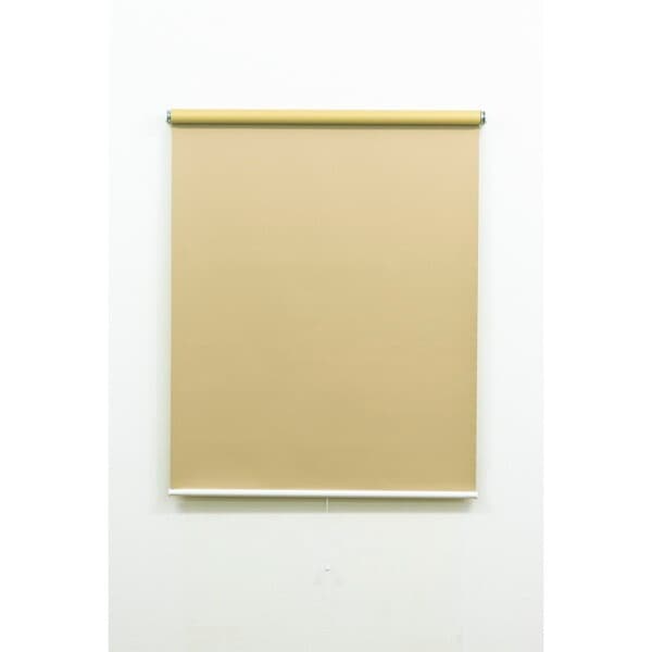 Fullness L2981 DNツッパリRS 60X135 SBE 遮光ベージュ つっぱり式ロールスクリーン 60×135cm メーカー直送