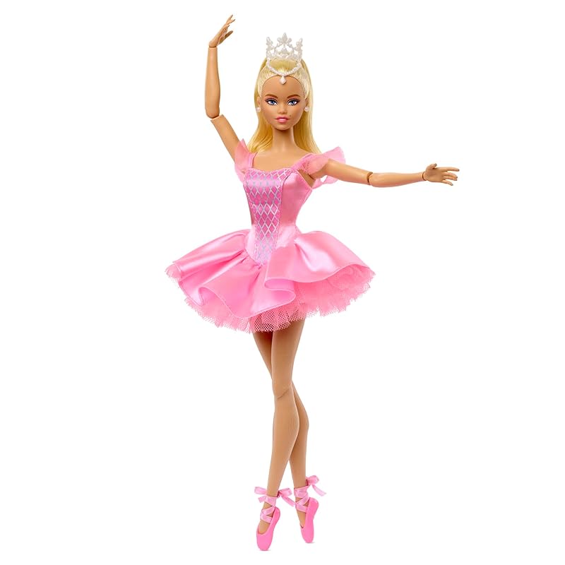 バービー(Barbie) バレエ ウィッシュ Ballet Wishes シグネチャー きせかえ人形・ハウス バービー人形 6歳から ピンク JBJ09