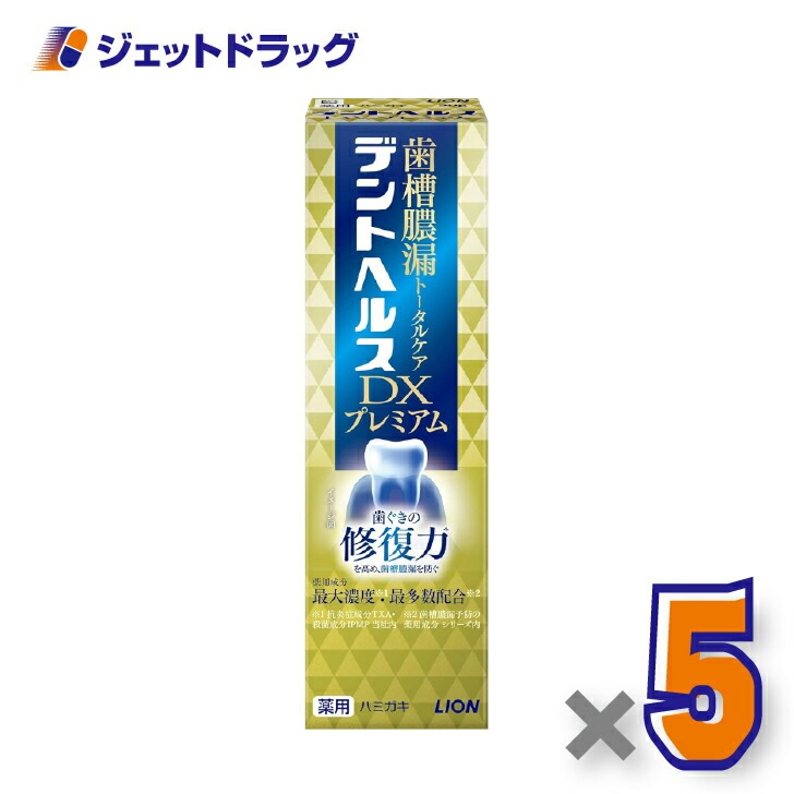 【医薬部外品】デントヘルス薬用ハミガキ DXプレミアム 90g ×5個（歯槽膿漏・歯肉炎）