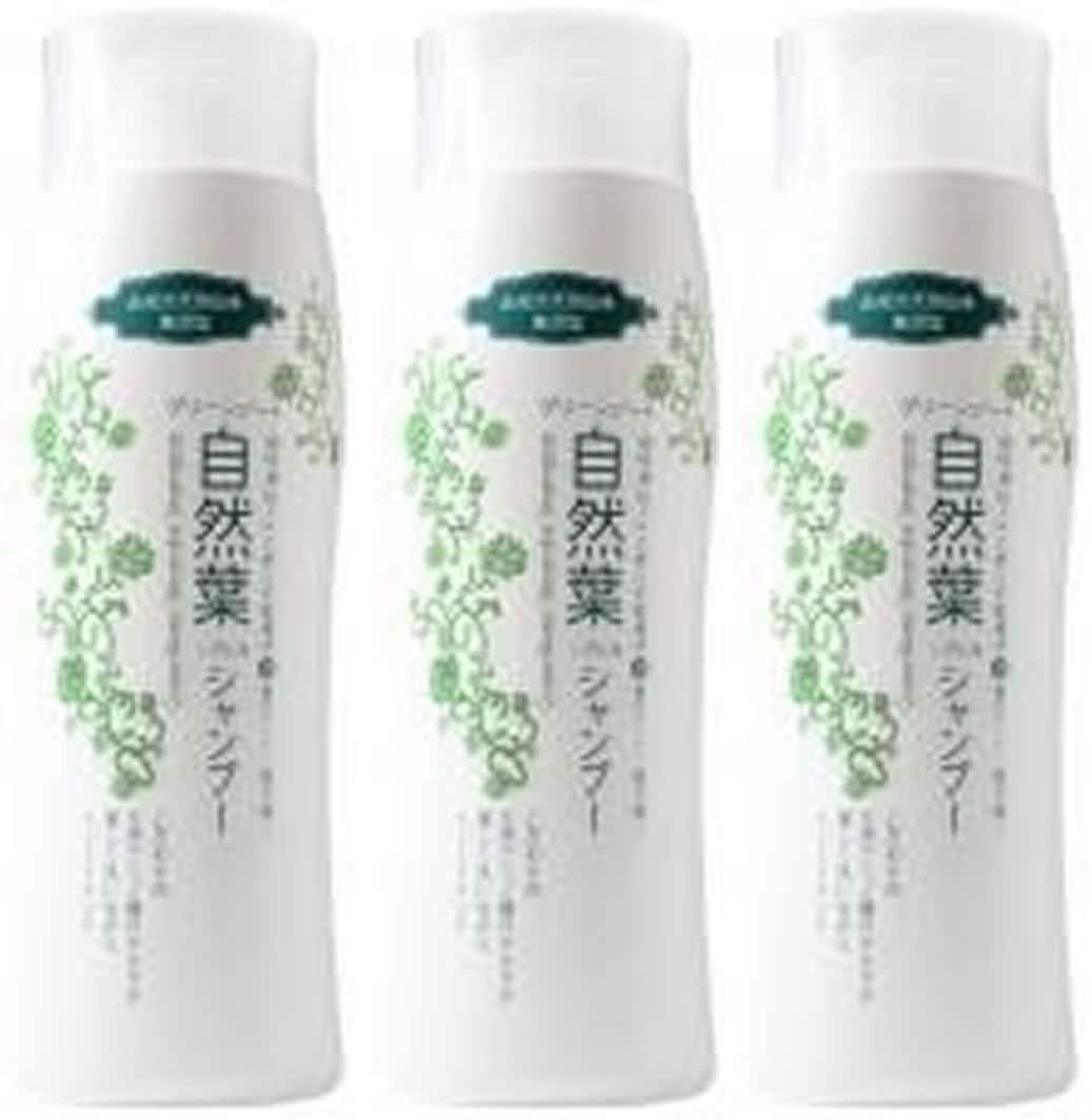 グリーンノート 18種天然アミノ酸　自然葉シャンプー ３００ｍｌ 3本セット