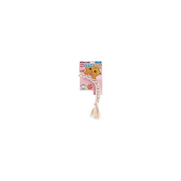 【1ケース】【お取り寄せ対象品】毎日ハミガキコットン スティックSS[ドギーマンハヤシ] *72個