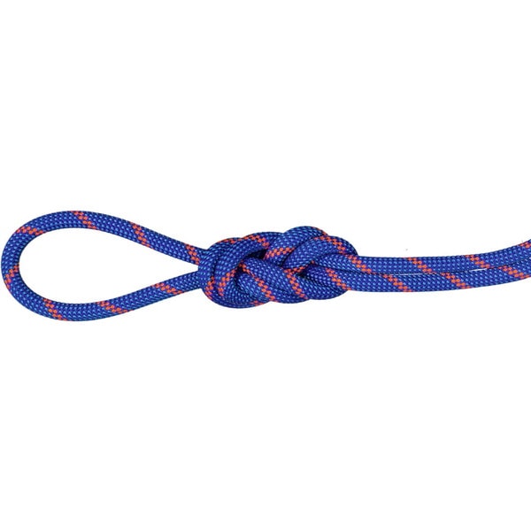 MAMMUT マムート 7.5 Alpine Sender Dry Rope アウトドア アクセサリー 201004330B-11251
