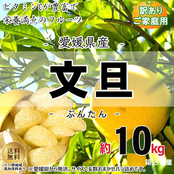 文旦 約10kg - 果物