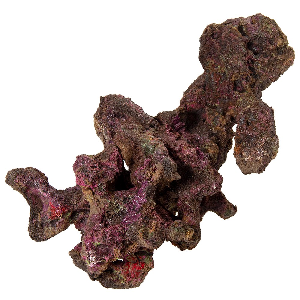 ＯＲＣＡ　ＯＣＥＡＮ　ＲＯＣＫ　２６　２８X２１X２８ｃｍ　ライブロックレプリカ　ＣＲＣ10―35―90―30―00