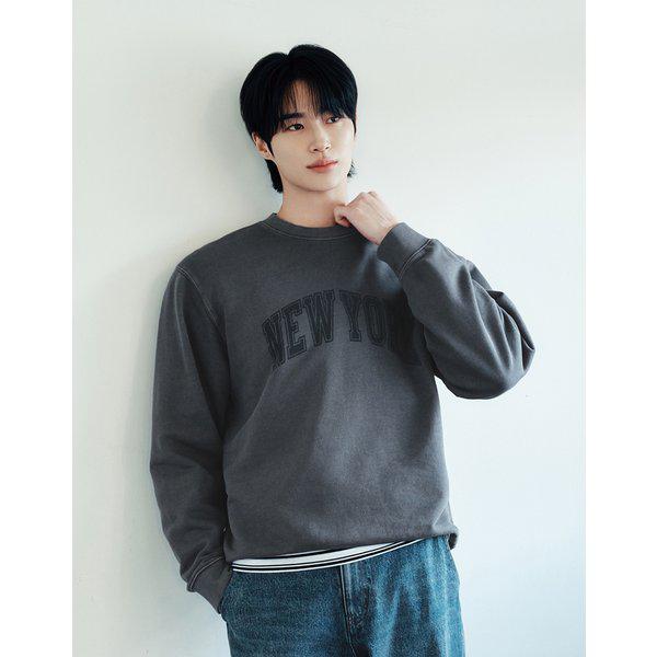 NEW [변우석] ガーメントダイイング グラフィック トレーナー 01026512