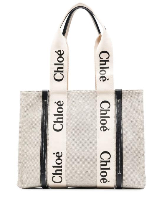 CHLOE Women Bags CHC22AS383I26 91J Beige blue