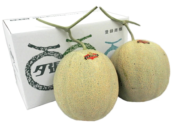 産地直送 北海道 夕張メロン 2玉 約4kg 共撰/良品 化粧箱入り=良4-2玉=予約 6月下旬以降