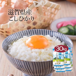 米 精米 滋賀県産 こしひかり 30kg 5kg 6セット 令和6年産 お米 こめ 30キロ 安い お米 白米 国産 食品 ギフト 引っ越し 挨拶 内祝い お歳暮 送料無料 おくさま印 新米