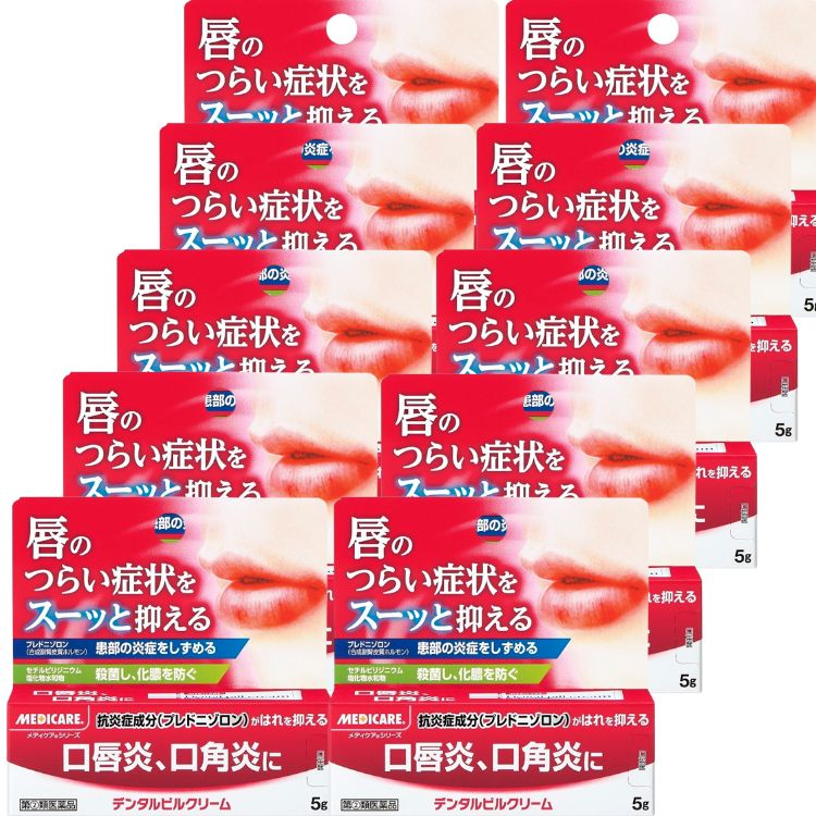 指定第2類医薬品 10個セット 森下仁丹 メディケア デンタルピルクリーム 5g 口唇炎 口角炎