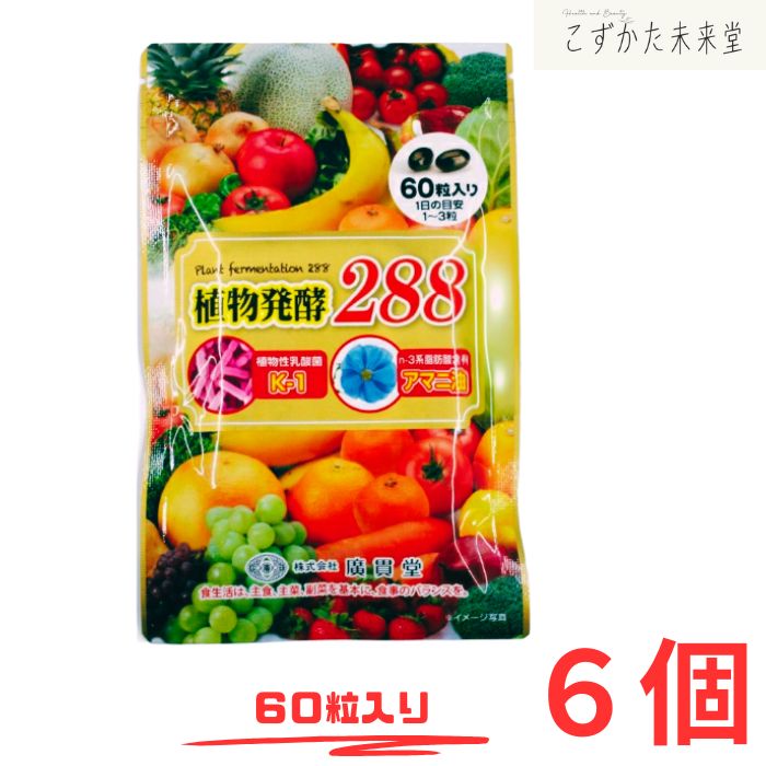 植物発酵288 廣貫堂 60粒 ×6セット 植物性乳酸菌 アマニ油配合