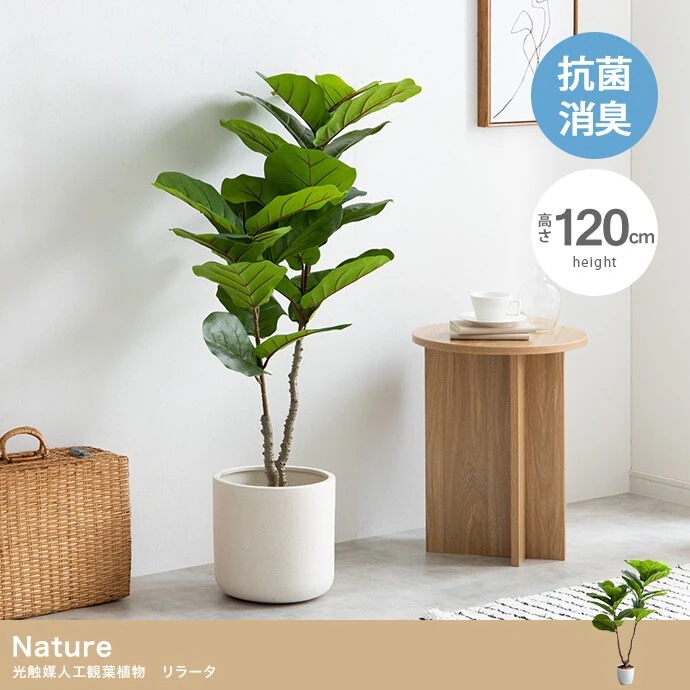 【高さ120cm】Nature 光触媒人工観葉植物　リラータ　観葉植物　光触媒　フェイクグリーン　消臭　抗菌
