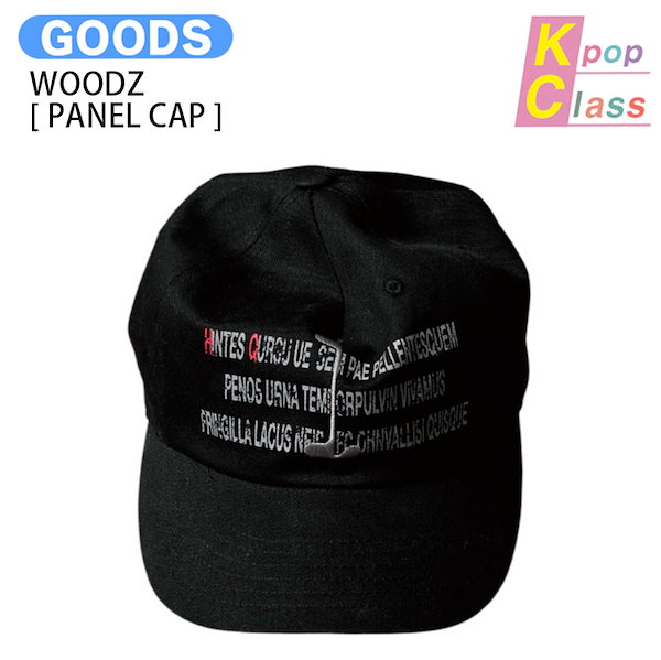 Qoo10] 国内発送 WOODZ [ PANEL C