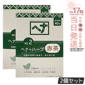 【2個セット】ナイアード ヘナ＋ハーブ 100g Naiad 赤茶系 No.2 白髪染め ヘアカラー 染毛料 カラー剤 カラーリング 毛染め ヘナパウダー ヘナカラー ナイアードヘナ トリートメントヘ