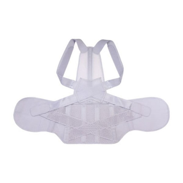 お医者さんの腰から正す姿勢ベルト L-LLサイズ 203216 メーカー直送