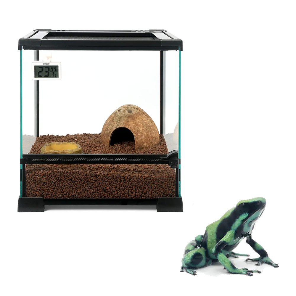 （両生類）ヤドクガエルの基本飼育セット＆「マダラヤドクガエル　カウイータ」　本州四国限定　ＣＲＣ17―10―35―10―00