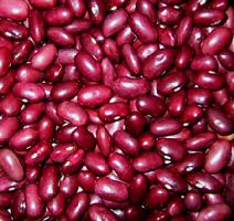 北海道産 大正金時豆　5kg