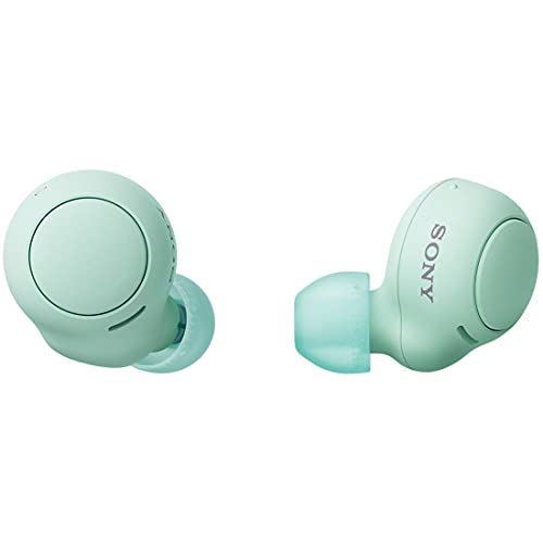 ソニー() 完全ワイヤレスイヤホン WF-C500 : /軽量小型5.4g/高精度通話品質/簡単ペアリング/IPX4防滴性能/アイスグリーン WF-C500 GZ