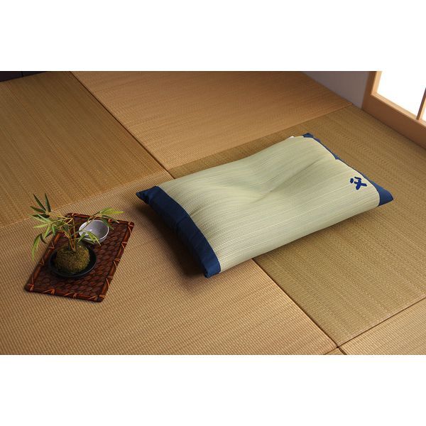 1120500016601 い草枕 消臭 国産 『おとこの枕 ハイパー』約43×63cm メーカー直送
