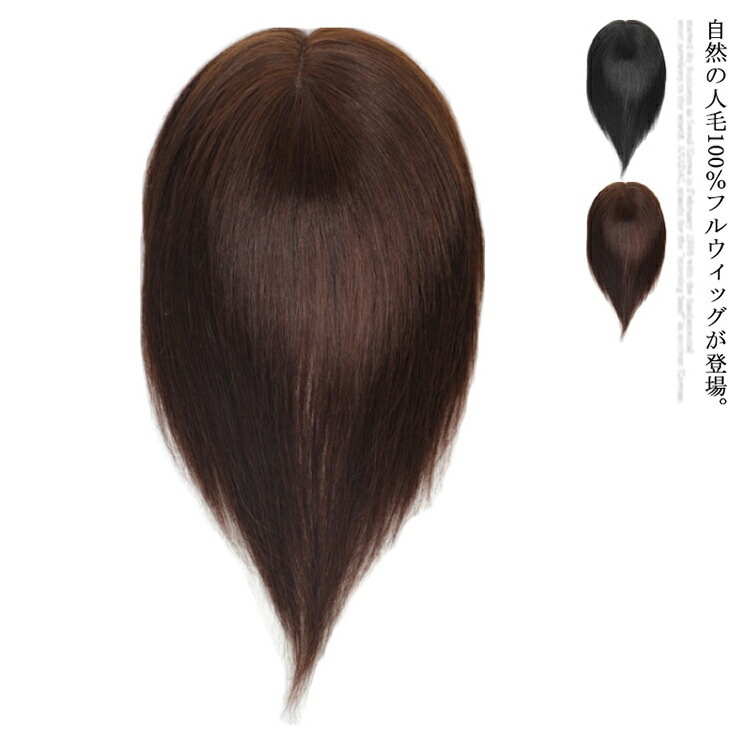 ウィッグ フルウィッグ 人毛100% 医療用ウィッグ ストレートウィッグ 自然 医療用 かつら 女性用 かつら 黒髪 ブラウン髪 ショート ミディアムヘア セミロングウィッグ 薄毛 脱毛症 白髪隠
