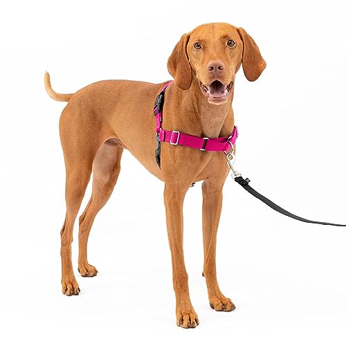 PetSafe イージーウォークハーネス (M ラズベリー＆グレー) 5,645円
