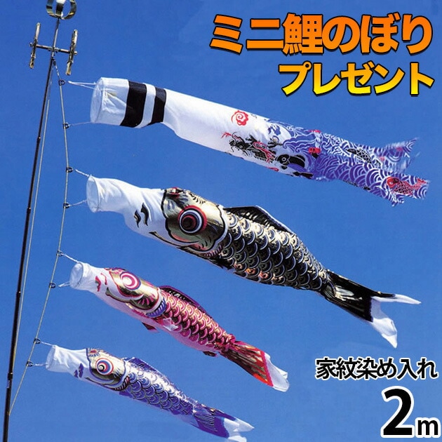 【廃盤】鯉のぼり こいのぼり 鯉のぼり ﾍﾞﾗﾝﾀﾞ用 こいのぼり ﾍﾞﾗﾝﾀﾞ用 ﾏﾝｼｮﾝ 取付金具付 家紋 染入れ 川尻金龍ﾃﾞｻﾞｲﾝ 昇龍 送料無料 ｺﾝﾊﾟｸﾄ ﾐﾆ新作 秀光