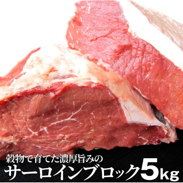 オージー サーロイン ブロック 5kg 凍眠 テクニカン ステーキ用 赤身 ロース プレゼント リッチな 贅沢 牛肉