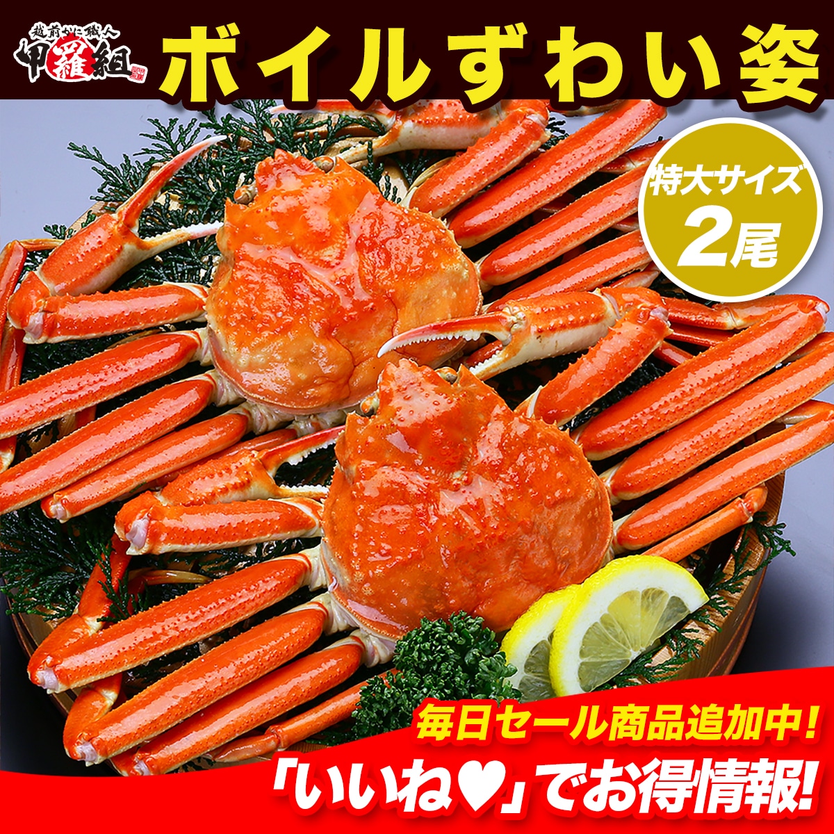 希少な特大サイズを厳選！ボイルずわいがに姿1.5kg（750g前後2ハイ）食べ方の説明書同封【カニ】【かに】【蟹】