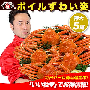 特大ボイルずわいがに姿 3kg 5尾 業務用産地箱 カニ かに 蟹 鍋 カニ鍋 メガ盛 【初心者さんでも安心!さばき方動画あり】冷凍 海鮮 通販 魚介 グルメ お取り寄せ 年末年始 お歳暮 ギフト