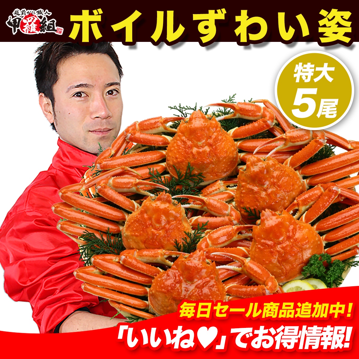 特大ボイルずわいがに姿 3kg 5尾　業務用産地箱 カニ かに 蟹 鍋 カニ鍋 メガ盛 　【初心者さんでも安心！さばき方動画あり】