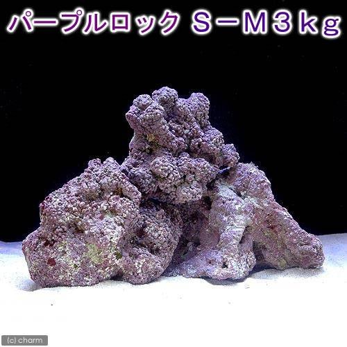 （海水魚）ライブロック　ＥＸＳグレード　パープルロック　Ｓ－Ｍサイズミックス　３ｋｇ（形状お任せ）　ＣＲＣ26―55―20―20―00